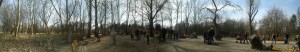csúszdapark, hajógyári sziget